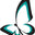 Shopping online for Tango Shoes by Turquoise logo